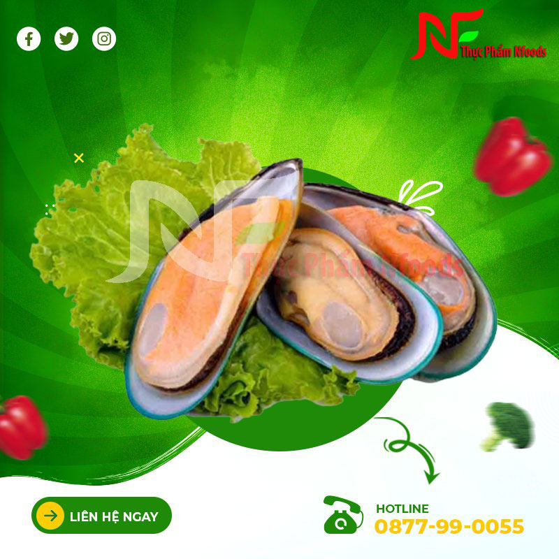 Vẹm Xanh Đài Loan
