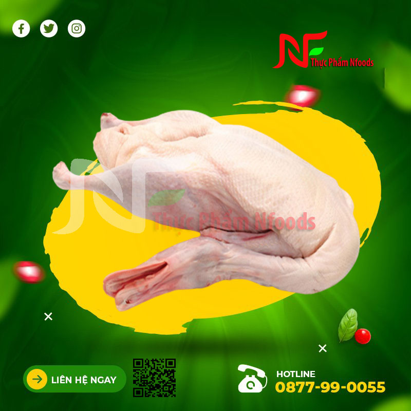 Vịt nguyên con