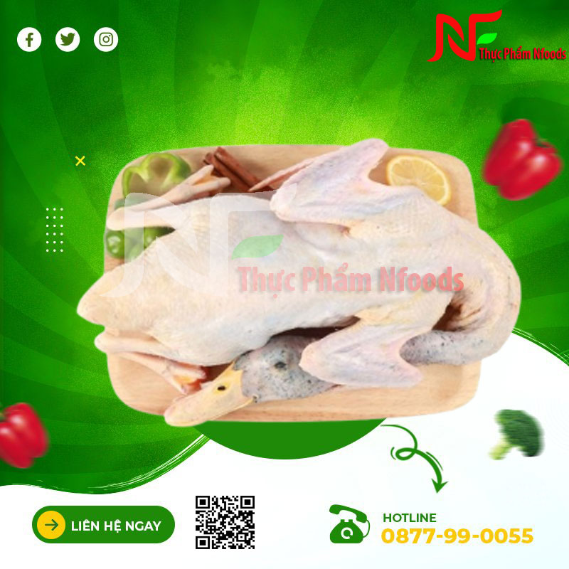 Vịt thảo dược