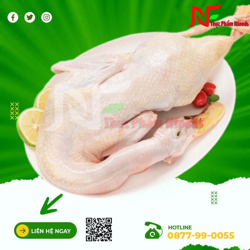 Vịt Xiêm Giá Sỉ