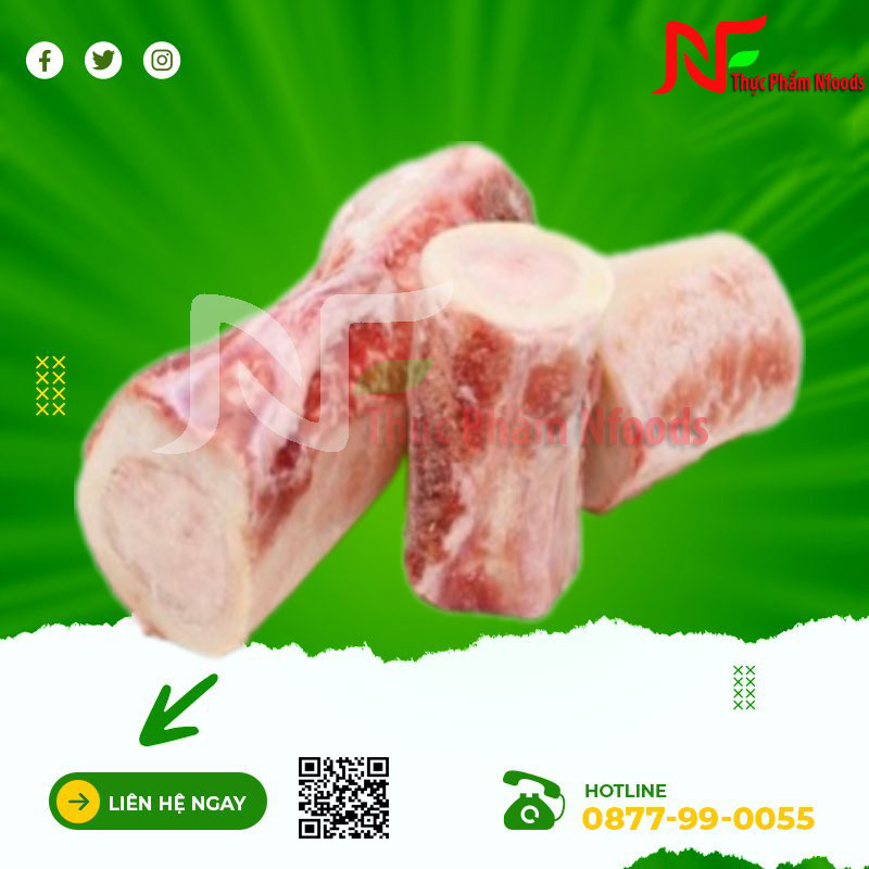 Xương ống bò ECT