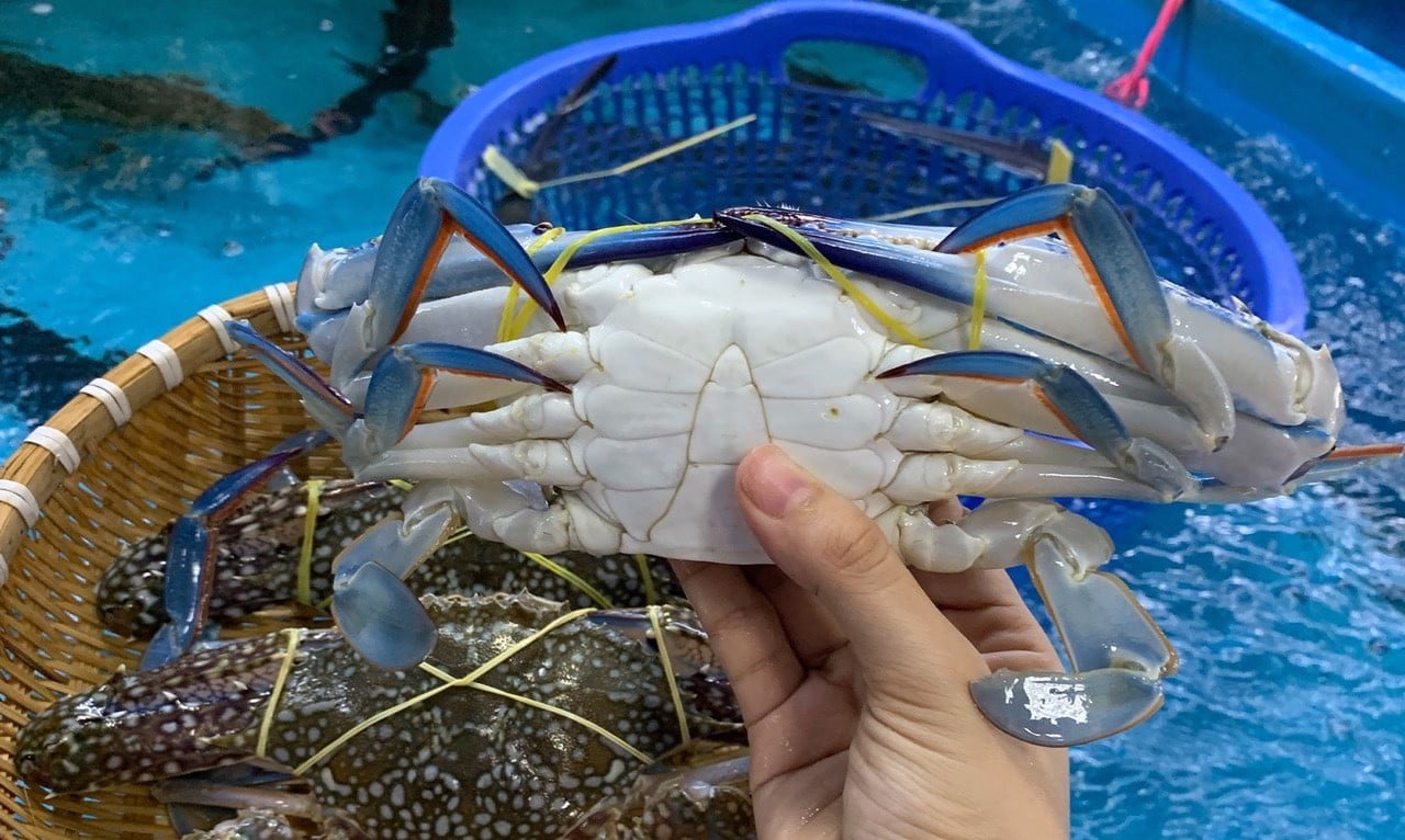 Hình ảnh sản phẩm ghẹ xanh phan thiết tại Đảo Hải Sản