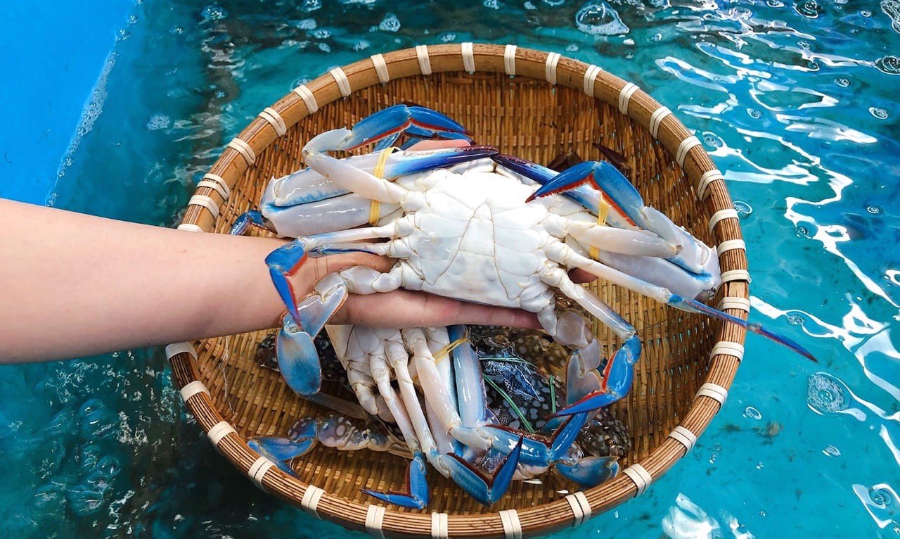 Hình ảnh sản phẩm ghẹ xanh phan thiết tại Đảo Hải Sản