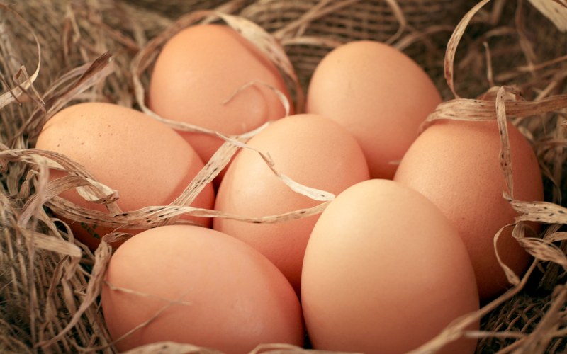Giá trứng gà hôm nay ngày 01/11 Giá trứng gà hôm nay ngày 01/11