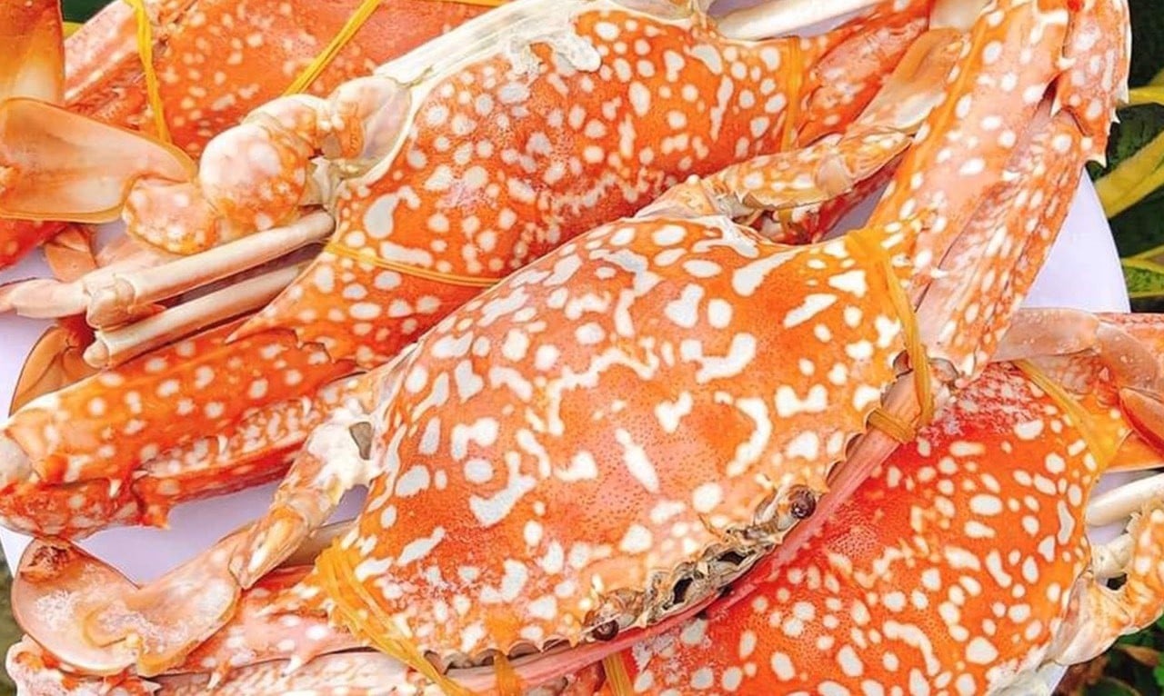 Hình ảnh sản phẩm ghẹ xanh phan thiết tại Đảo Hải Sản