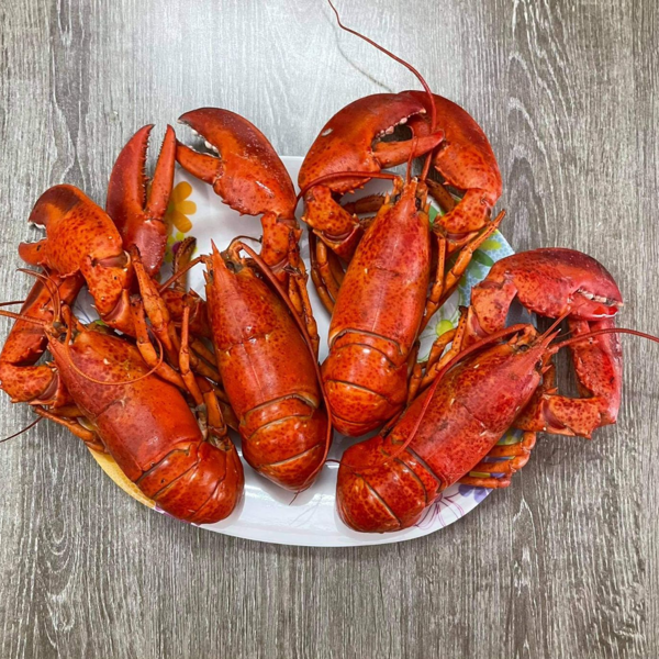 Hình ảnh sản phẩm tom-hum-Alaska-nho